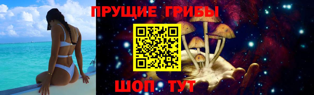 Галлюциногенные грибы Psilocybine cubensis Санкт-Петербург